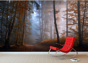 Autumn Colors Wall Mural Wallpaper - Canvas Art Rocks - 2