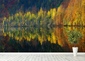 Autumnal Silence Wall Mural Wallpaper - Canvas Art Rocks - 4