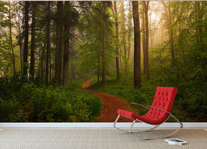 The Red Path Wall Mural Wallpaper - Canvas Art Rocks - 2