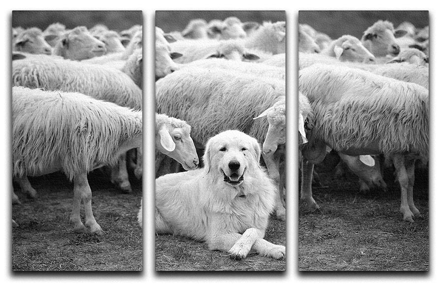 Lab Sat Infront Of Sheet 3 Split Panel Canvas Print - Canvas Art Rocks - 1
