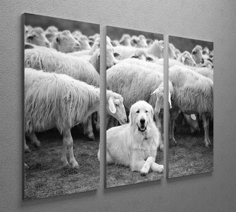 Lab Sat Infront Of Sheet 3 Split Panel Canvas Print - Canvas Art Rocks - 2