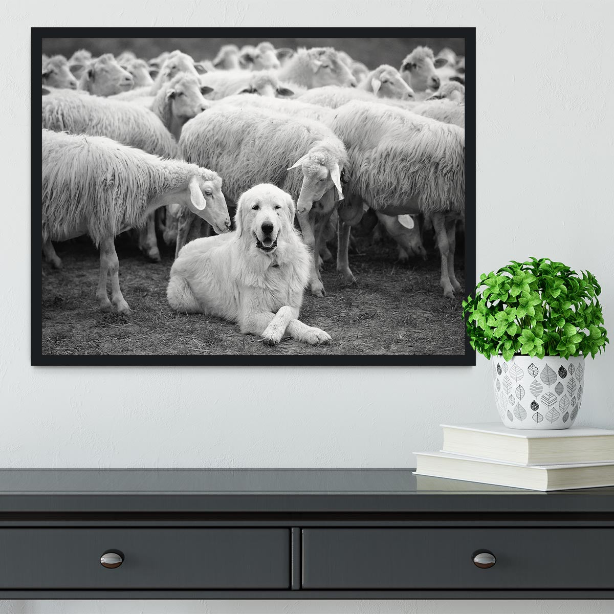 Lab Sat Infront Of Sheet Framed Print - Canvas Art Rocks - 2