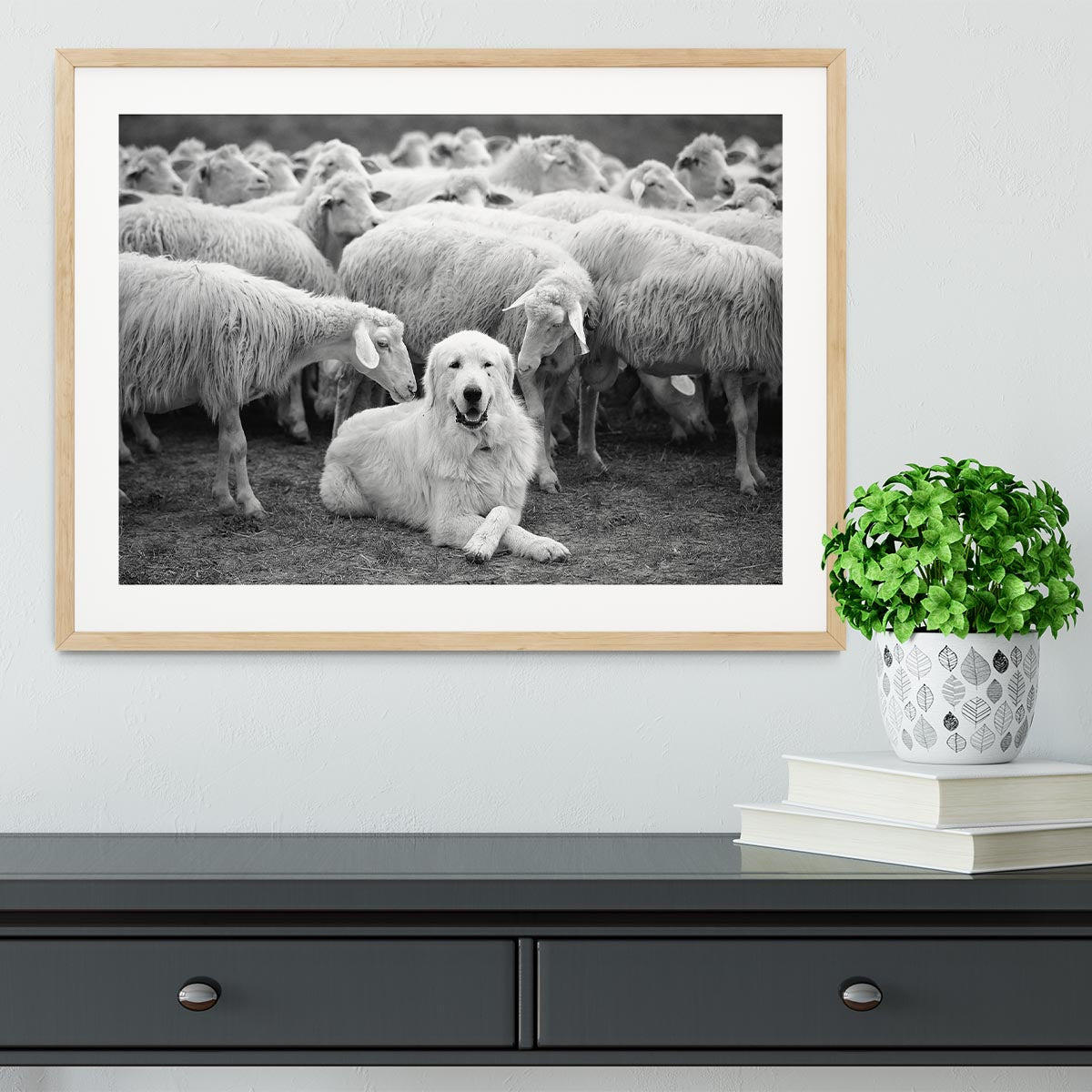 Lab Sat Infront Of Sheet Framed Print - Canvas Art Rocks - 3