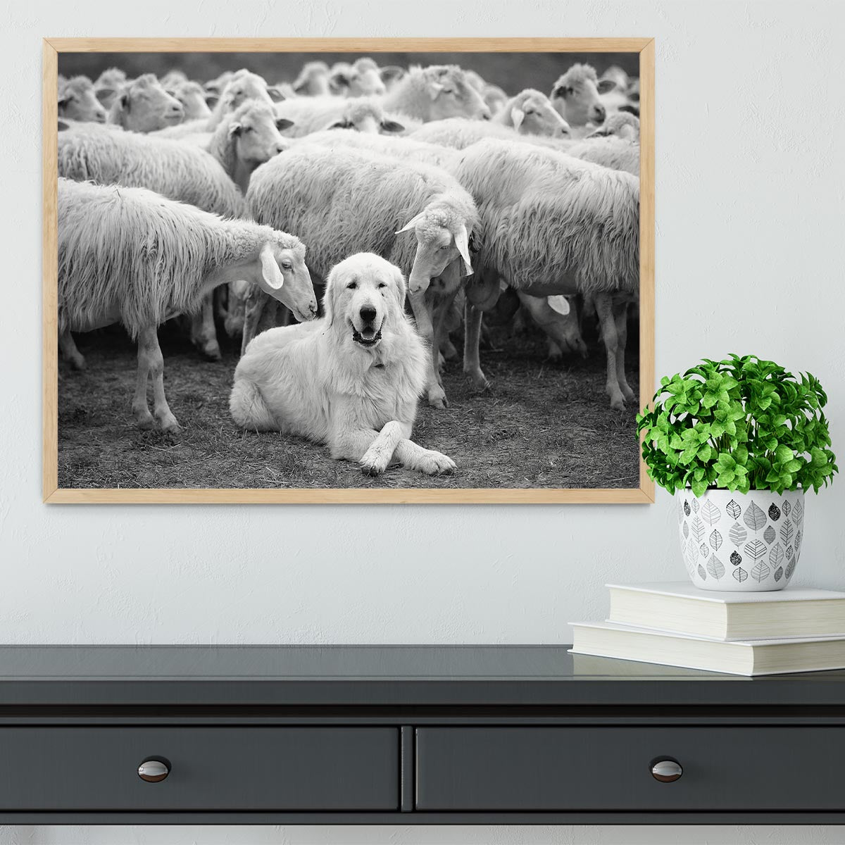 Lab Sat Infront Of Sheet Framed Print - Canvas Art Rocks - 4