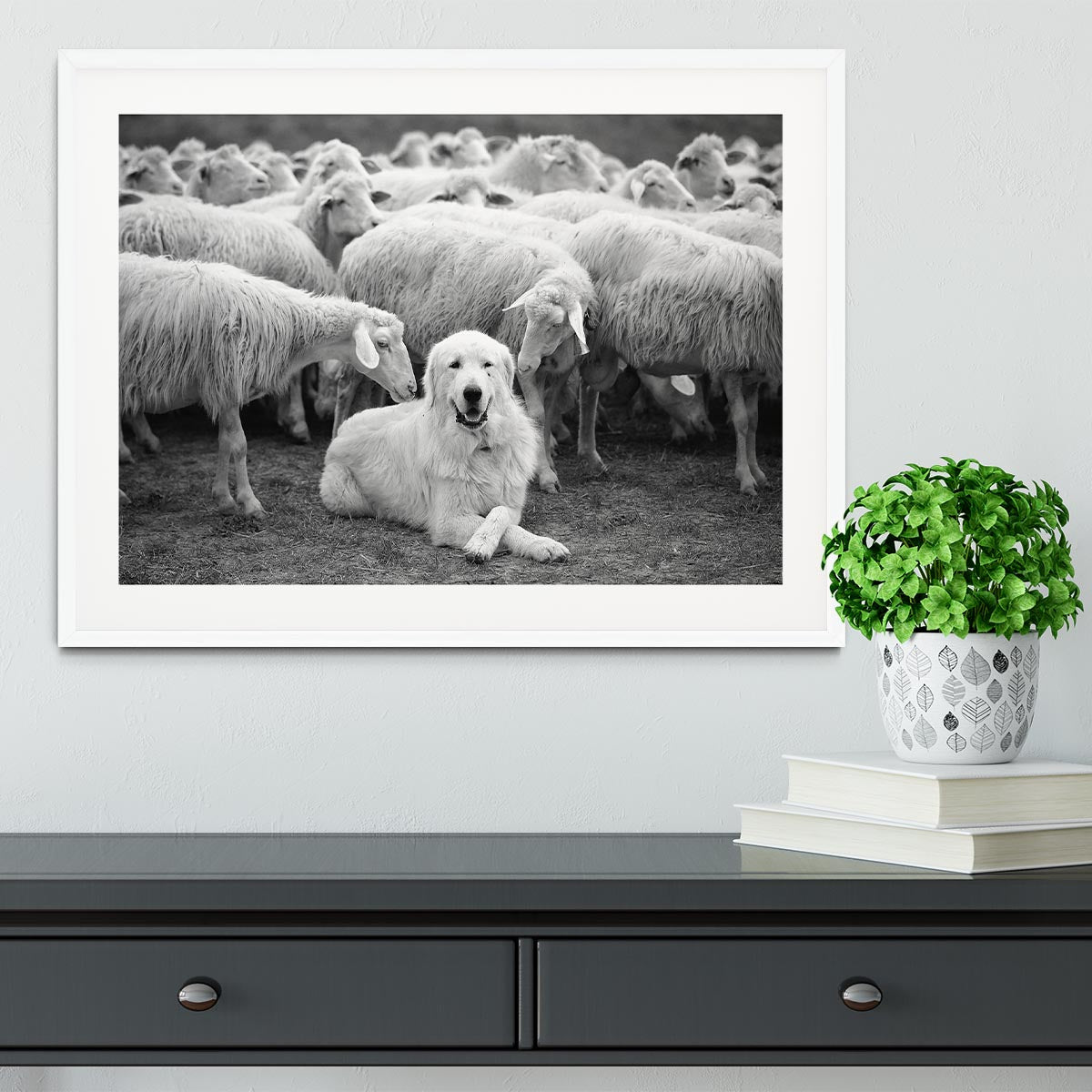 Lab Sat Infront Of Sheet Framed Print - Canvas Art Rocks - 5