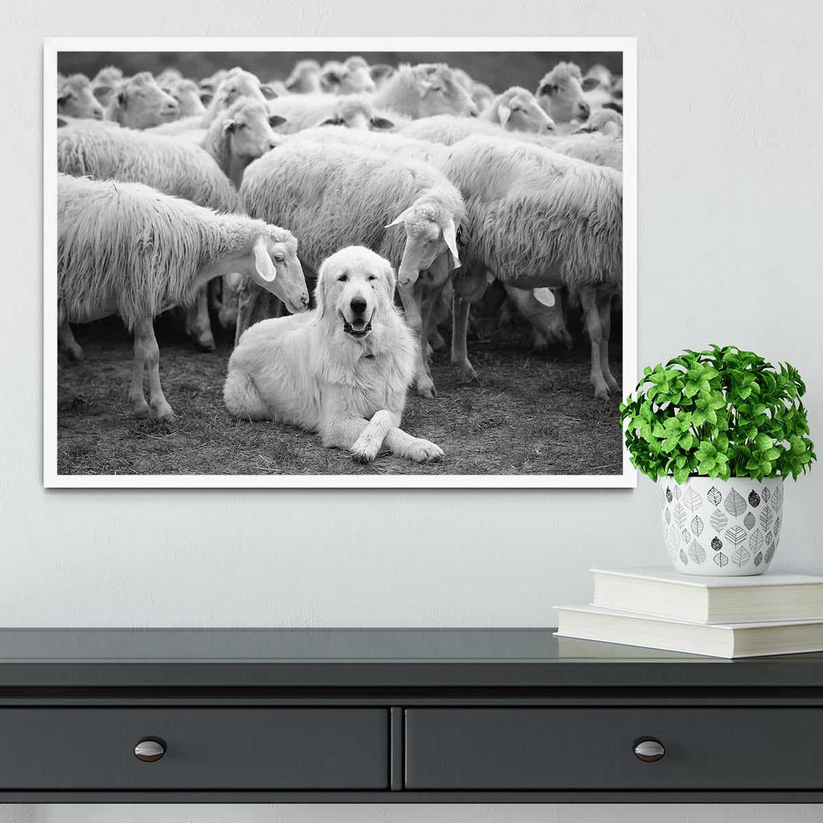 Lab Sat Infront Of Sheet Framed Print - Canvas Art Rocks -6