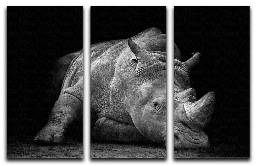 Black And White Rhink 3 Split Panel Canvas Print - Canvas Art Rocks - 1