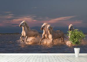 Wite Horses Running In Water 2 Wall Mural Wallpaper - Canvas Art Rocks - 4