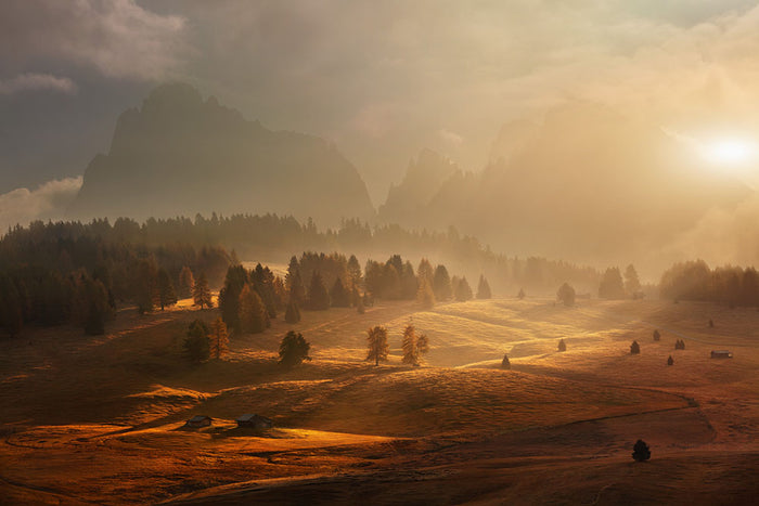 Morning On Alpine Meadow Wall Mural Wallpaper