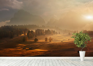 Morning On Alpine Meadow Wall Mural Wallpaper - Canvas Art Rocks - 4