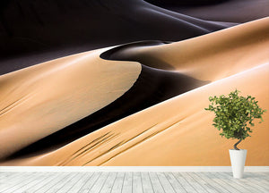 Desert Sand Wall Mural Wallpaper - Canvas Art Rocks - 4