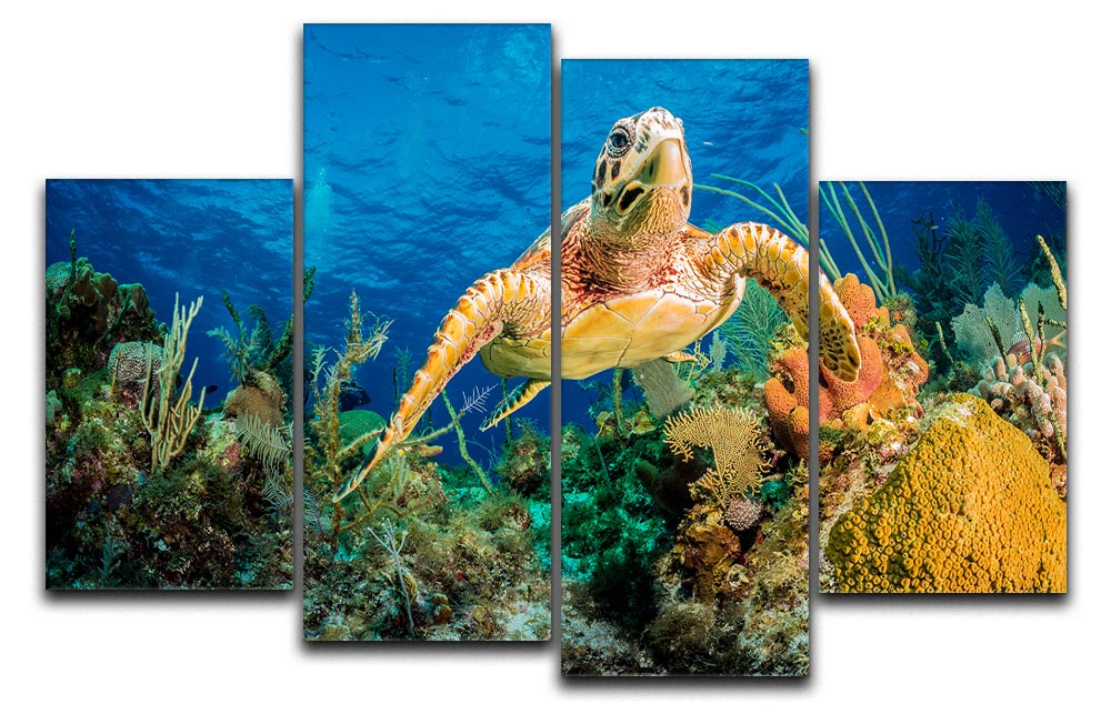 Hawksbill Turtle Swimming Through Caribbean Reef 4 Split Panel Canvas - Canvas Art Rocks - 1