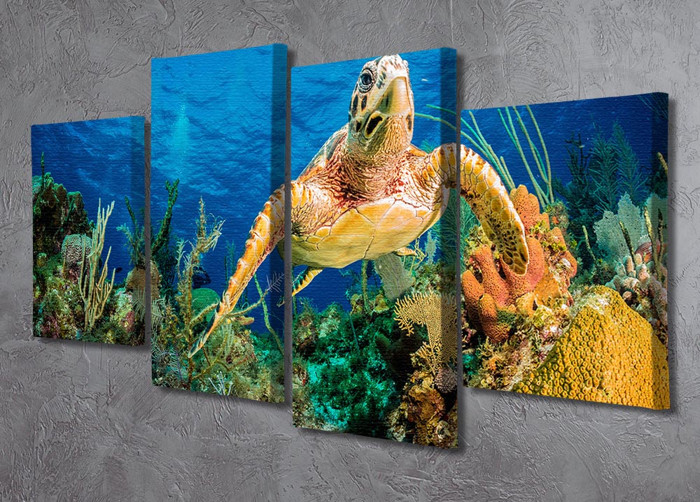 Hawksbill Turtle Swimming Through Caribbean Reef 4 Split Panel Canvas - Canvas Art Rocks - 2