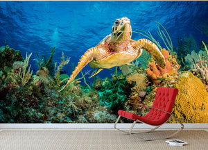 Hawksbill Turtle Swimming Through Caribbean Reef Wall Mural Wallpaper - Canvas Art Rocks - 2