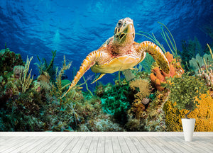 Hawksbill Turtle Swimming Through Caribbean Reef Wall Mural Wallpaper - Canvas Art Rocks - 4