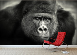 Gorilla Wall Mural Wallpaper - Canvas Art Rocks - 2