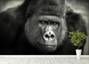 Gorilla Wall Mural Wallpaper - Canvas Art Rocks - 4