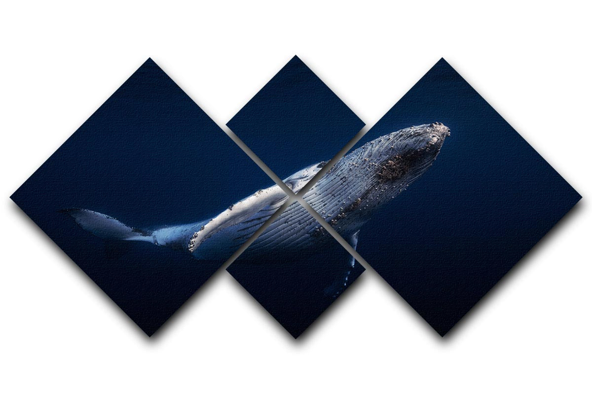 Humpback Whale 4 Square Multi Panel Canvas - Canvas Art Rocks - 1