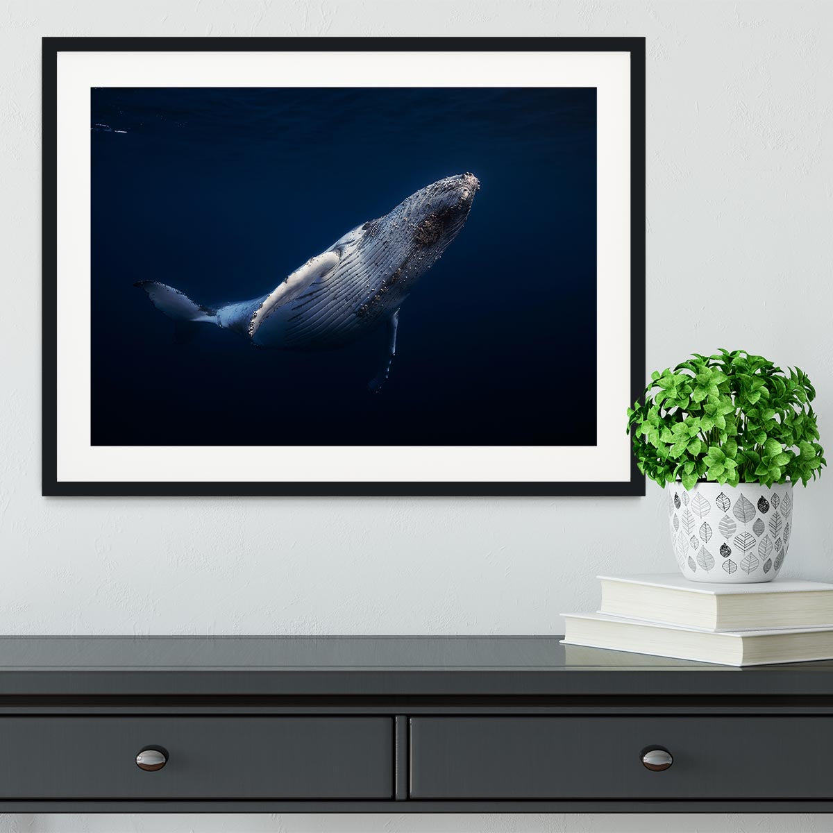 Humpback Whale Framed Print - Canvas Art Rocks - 1