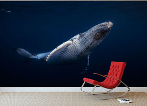 Humpback Whale Wall Mural Wallpaper - Canvas Art Rocks - 2