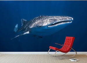 Whale Shark Wall Mural Wallpaper - Canvas Art Rocks - 2