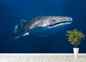 Whale Shark Wall Mural Wallpaper - Canvas Art Rocks - 4