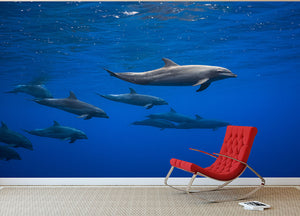 Dolphins Wall Mural Wallpaper - Canvas Art Rocks - 2