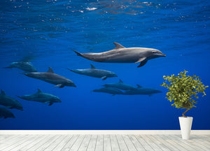 Dolphins Wall Mural Wallpaper - Canvas Art Rocks - 4