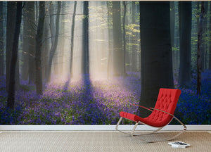 Velvet Light Wall Mural Wallpaper - Canvas Art Rocks - 2