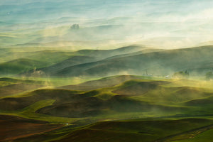 Golden Morning-Palouse Wall Mural Wallpaper - Canvas Art Rocks - 1