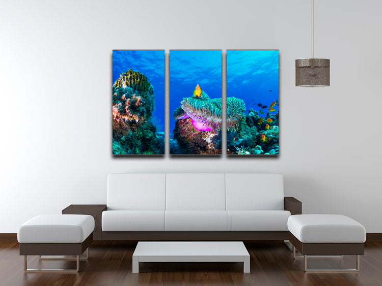 Sea Life 3 Split Panel Canvas Print - Canvas Art Rocks - 3