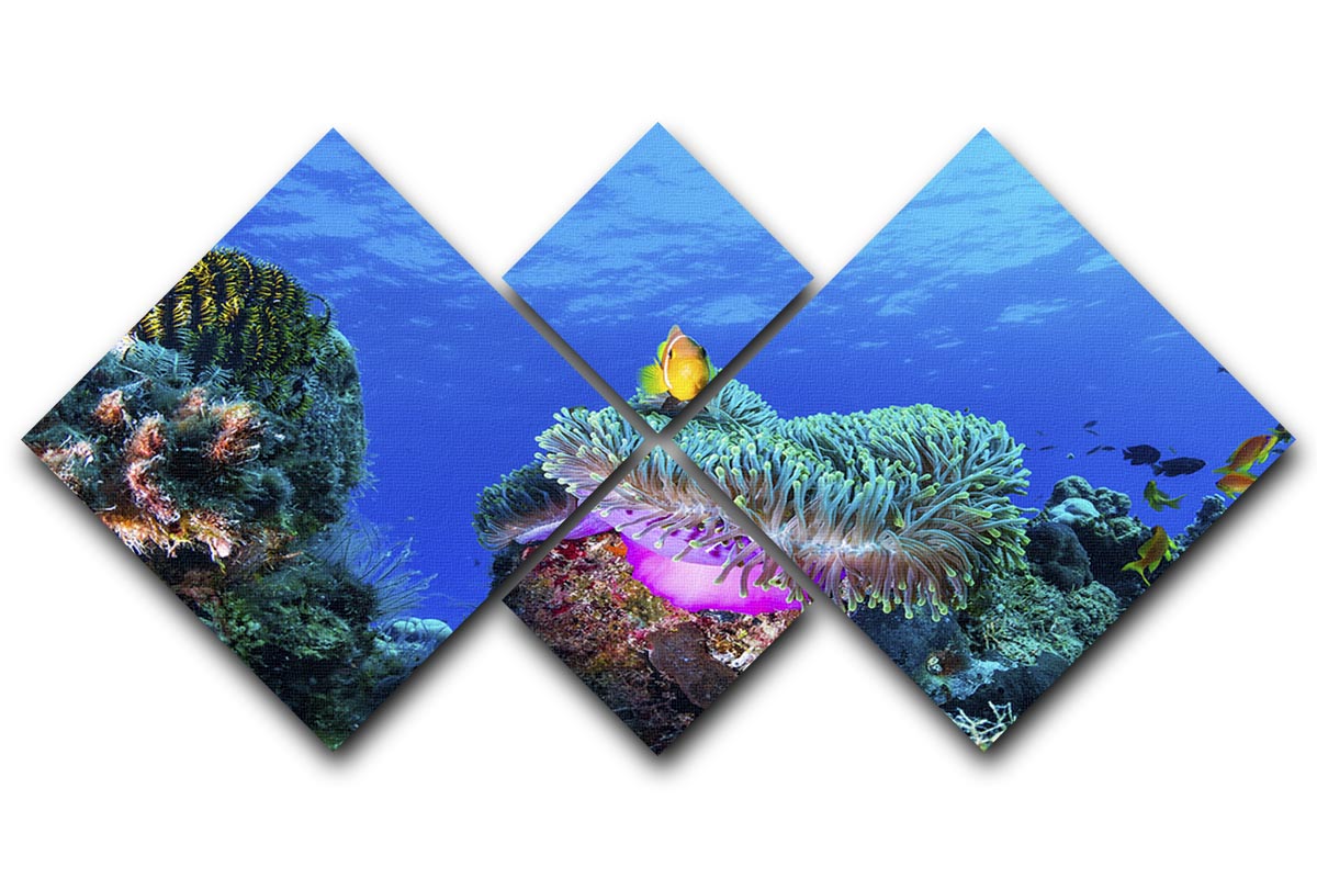 Sea Life 4 Square Multi Panel Canvas - Canvas Art Rocks - 1