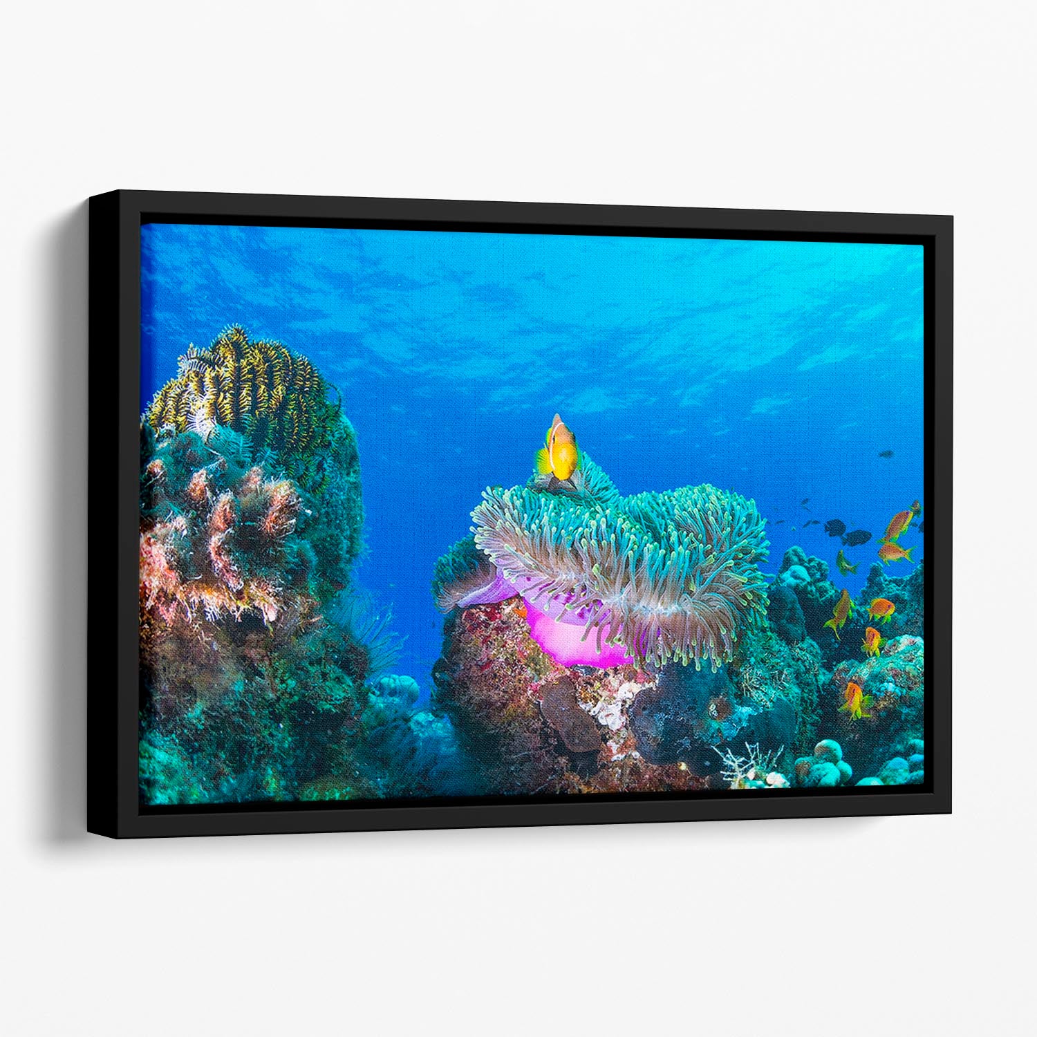 Sea Life Floating Framed Canvas - Canvas Art Rocks - 1