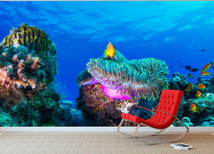 Sea Life Wall Mural Wallpaper - Canvas Art Rocks - 2