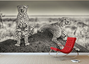 Two Cheetahs watching out Wall Mural Wallpaper - Canvas Art Rocks - 2