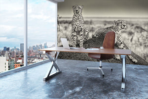 Two Cheetahs watching out Wall Mural Wallpaper - Canvas Art Rocks - 3