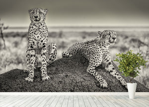 Two Cheetahs watching out Wall Mural Wallpaper - Canvas Art Rocks - 4