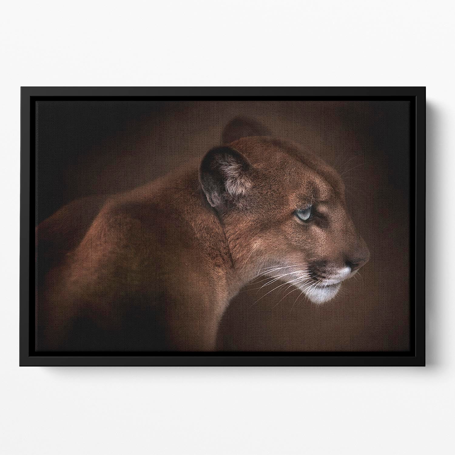 Puma Floating Framed Canvas - Canvas Art Rocks - 2