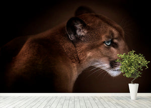 Puma Wall Mural Wallpaper - Canvas Art Rocks - 4