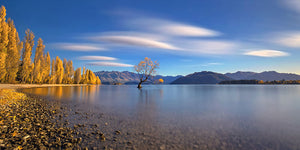 Autumn In Lake Wanaka Wall Mural Wallpaper - Canvas Art Rocks - 1