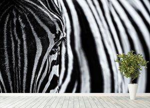 Zebra Close Up Wall Mural Wallpaper - Canvas Art Rocks - 4