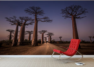 Allace Des Baobabs Wall Mural Wallpaper - Canvas Art Rocks - 2