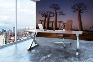 Allace Des Baobabs Wall Mural Wallpaper - Canvas Art Rocks - 3