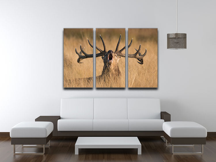 Antler Ready to Rut 3 Split Panel Canvas Print - Canvas Art Rocks - 3