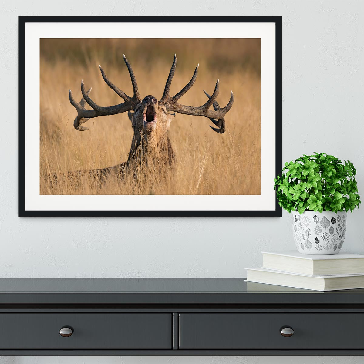 Antler Ready to Rut Framed Print - Canvas Art Rocks - 1