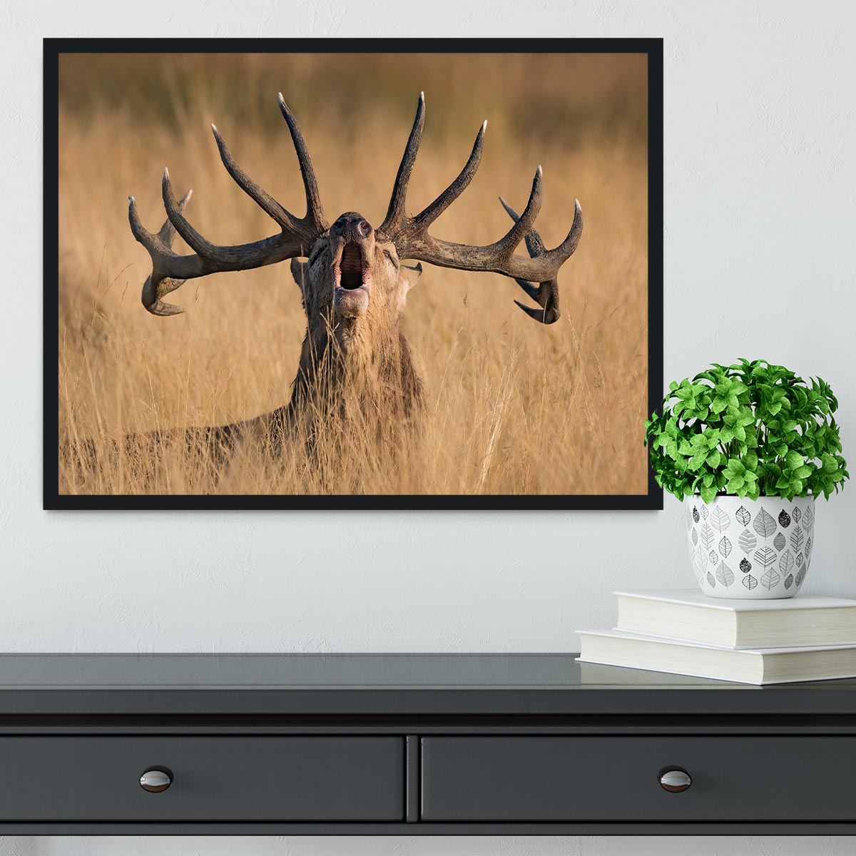 Antler Ready to Rut Framed Print - Canvas Art Rocks - 2