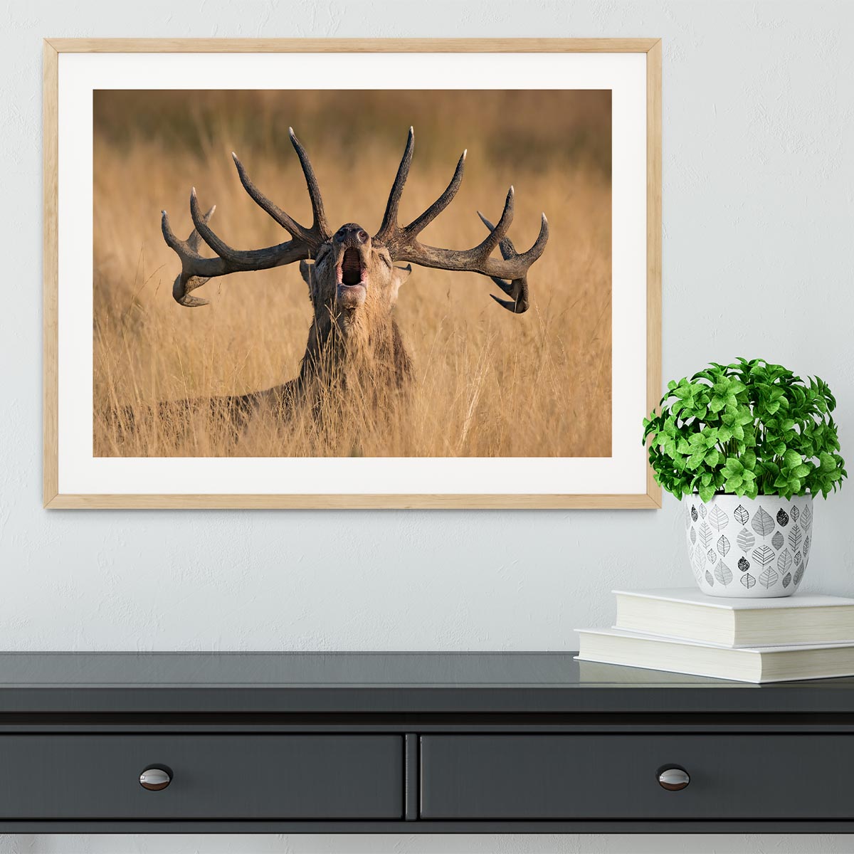 Antler Ready to Rut Framed Print - Canvas Art Rocks - 3