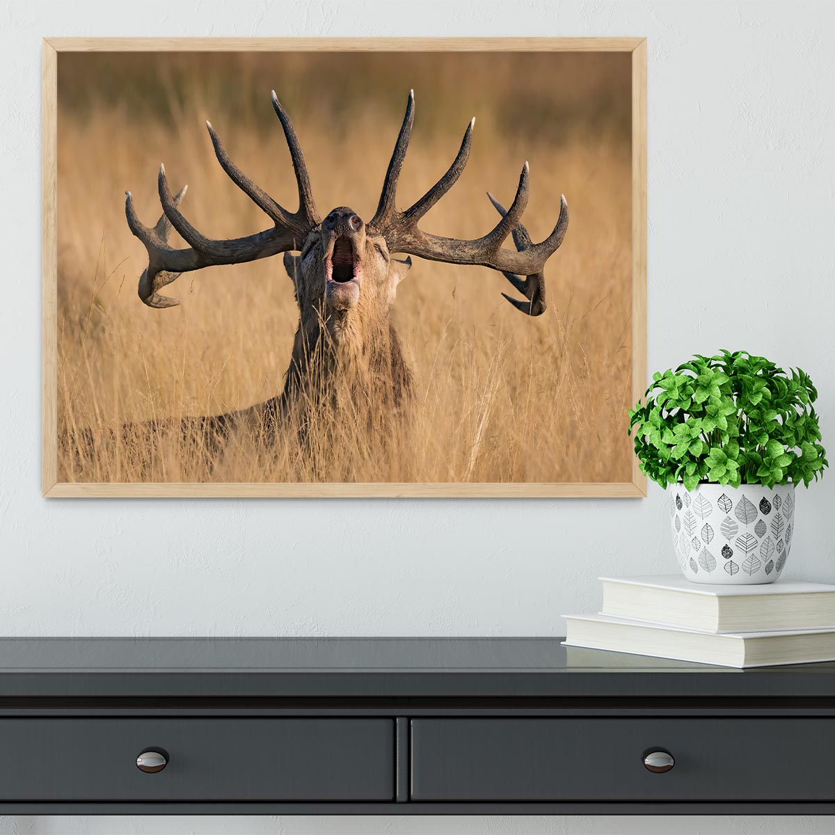 Antler Ready to Rut Framed Print - Canvas Art Rocks - 4