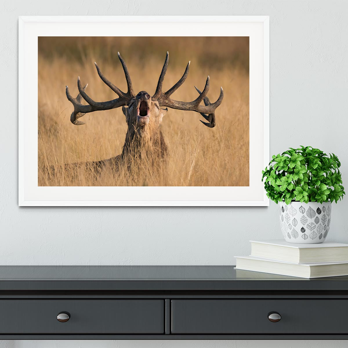 Antler Ready to Rut Framed Print - Canvas Art Rocks - 5