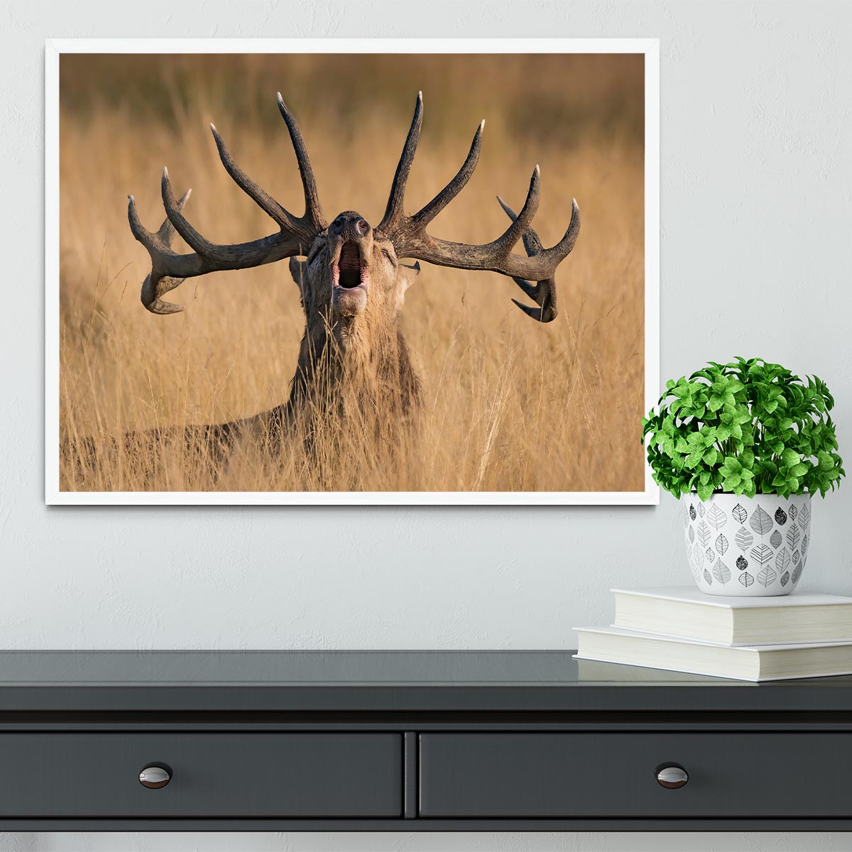 Antler Ready to Rut Framed Print - Canvas Art Rocks -6